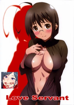 (C84) [Studio N.BALL (Haritama Hiroki)] Love Servant (Servant x Service) [Korean] [LIMITE]