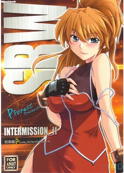 (C74) [P-FOREST (Hozumi Takashi)] INTERMISSION_if Soushuuhen B (Super Robot Wars OG: Original Generations) [Korean] [team ru:tD]