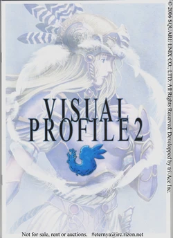 VISUAL PROFILE 2