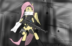 MLP Images