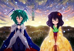 (C81) [Yakouchuu (Ryuujouhan)] Naki Firefly (Touhou Project)