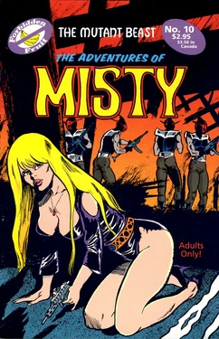 [James Mcquade] The Adventures of Misty #10