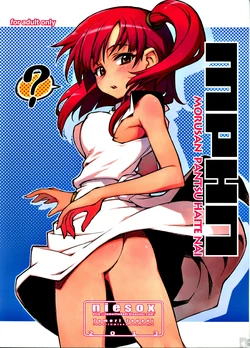 (C84) [niesox] MPHN - Morusan Pantsu Haite Nai (Magi)