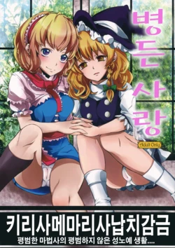 (C83) [Nipple Mokuba (Parabola)] Yamikoi | 병든 사랑  (Touhou Project) [Korean] [Team Sorry]