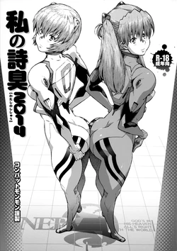 (C86) [Combat Mon-Mon (Hiratsura Masaru)] Watashi no Shishuu 2014 (Neon Genesis Evangelion, Neo Ranga)