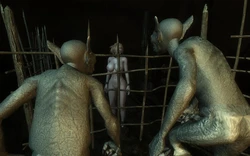TESIV: Goblin Monster Sex [Oblivion][Animated]