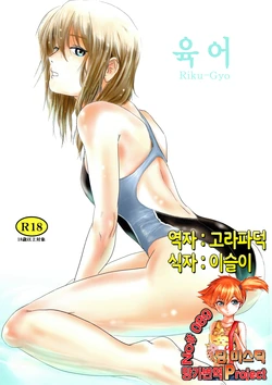 (C83) [MASHIRA-DOU (Mashiraga Aki)] Riku-Gyo | 육어 [Korean] [Team Mystic]