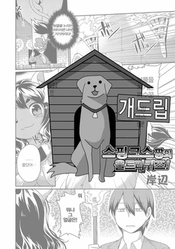 [Kishibe] Sphinx-chan no Ultra Quiz (COMIC Anthology QooPA Vol. 02) [Korean] [Team Dog Drip] [Digital]