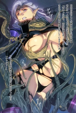 [FOOL´s ART GALLERY (Homare)] Shokushu Sai!