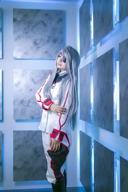 (COSHOLIC 10) [sophillia (Madoka Chami)] Silver Doll (IS <Infinite Stratos>)