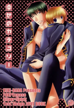 [Kiki-Rara (Tonase Fuki)] Shiawase no Category (Gintama)