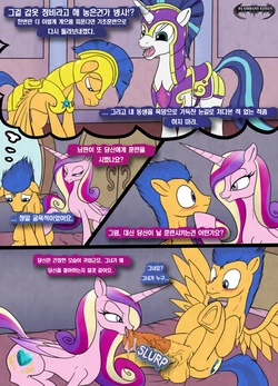[Da Goddamn BatGuy] Flash's Royal Service (My Little Pony Friendship Is Magic) [korean] [TeamHumanTrash]