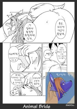 [Sindoll] Animal Bride 3 (non title) (korean) [HanTang]