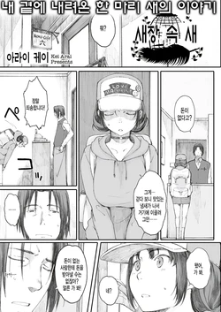 [Arai Kei] Hitoya no Tori | 새장 속 새  (COMIC MEGASTORE α 2013-09) [Korean]