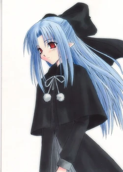 (C61) [Shisentaisha (33Mhz)] early summer (Tsukihime)