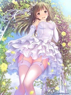 My Favorites - wedding dress