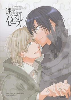 [Sisters of Franders (Semia Rai)] Maigo ni Natta Puzzle Piece (Harry Potter)