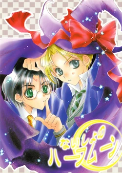 [Magicwork Orange (Kunimori Yuuka)] Naisho no Halfmoon (Harry Potter) [French]