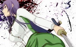 Gallery Saeko Busujima