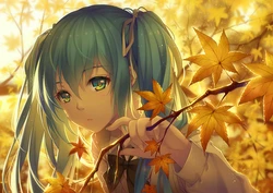 [pixiv] TID