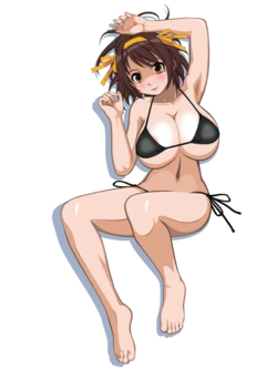[FLYING TREE FROG] haru-F00 (The Melancholy of Haruhi Suzumiya)