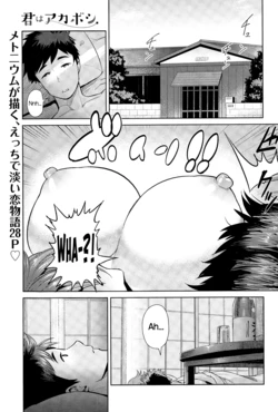 [Methonium] Kimi wa Akaboshi (COMIC Anthurium 025 2015-05) [English] [NecroManCr]