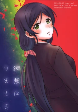 (C85) [Mushiyaki!! (Kanbayashi Makoto)] Binetsu na Tsumasaki | Feverish Tiptoes (Love Live!) [English] [Seiyuuri&Rexbandit]