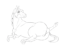 Horse Anal Vore