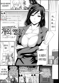 [Sugar Milk] Inu no Seikatsu | 개의생활 (Girls forM Vol. 05) [Korean] [팀ALONE]