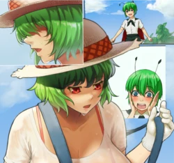 [Nishiumi Rin]真夏のゆうかりん(Touhou Project)