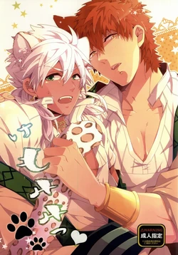 (C81) [Harugano (Harugano Kaoru)] Kemomimi! (Magi: The Labyrinth of Magic)