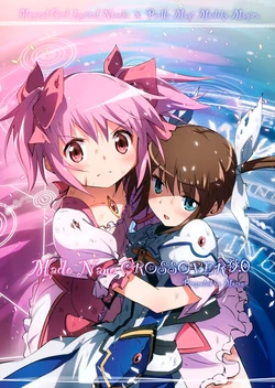 (C88) [Mosome (bun150)] Mado Nano CROSSOVER 9.0 (Puella Magi Madoka Magica, Mahou Shoujo Lyrical Nanoha)
