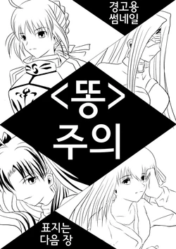 (SC42) [Akai Hitomi to Aoi Tsuki (Uranfu)] Haisetsu Kakeru x 4 (Fate/Stay Night) [Korean]