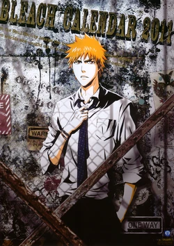 Blech 2011 Calendar ( A )