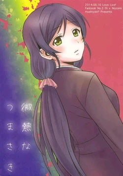 (C85) [Mushiyaki!! (Kanbayashi Makoto)] Binetsu na Tsumasaki (Love Live!) [Chinese]