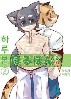 (C69) [Harugoya (Harusuke)] Harubon 2 [Korean] [아케미]