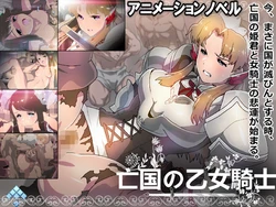 [Nighthawk] Boukoku no Otome Kishi