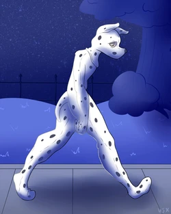 [HelixJack] Some Improvements