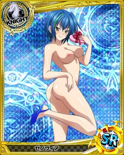 Highschool DxD Mobage Cards (18+) Vol 03