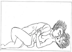 [Funsexydragonball] Private Message (Dragon Ball Z)