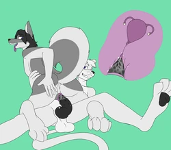 [Servothehusky] One Time Opportunity
