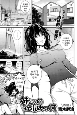 [Aoki Kanji] Nee-chan no Sakauramix (COMIC Anthurium 033 2016-01) [Korean]