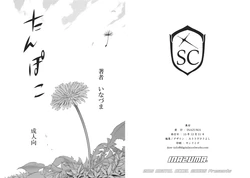 (C89) [Digital Accel Works (INAZUMA)] Tanpoko (Korean)