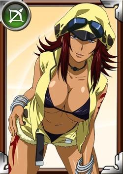 Ikkitousen Cards Coleccyion  Moukaku set