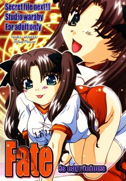 (C67) [Studio Wallaby (Takana Yu-ki)] SECRET FILE NEXT 11 - Fate is capricious (Fate/stay night) [Russian] [Witcher000]