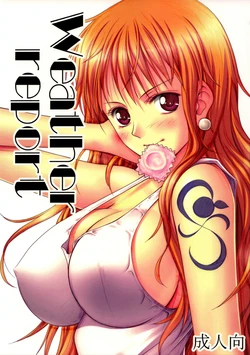 (C82) [Mikenekodou (Muten)] Weather report (One Piece) [German] [SchmidtSST]
