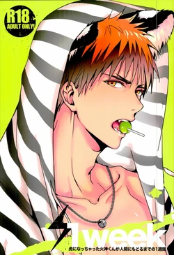 (C88) [FUJIKO (Toriotokonokyoufu)] 1week (Kuroko no Basuke)