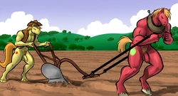 BGN's My Little Pony sexy anthro gallery