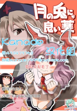 (Reitaisai 13) [RUMP (Bon)] Tsuki no Usagi Nya Iikusuri (Touhou Project) [Chinese] [kanade汉化组] [Incomplete]