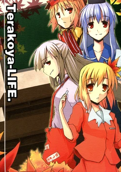 (Kouroumu 5) [Arishiki (Tsuga Kyousuke)] Terakoya-LIFE. (Touhou Project)